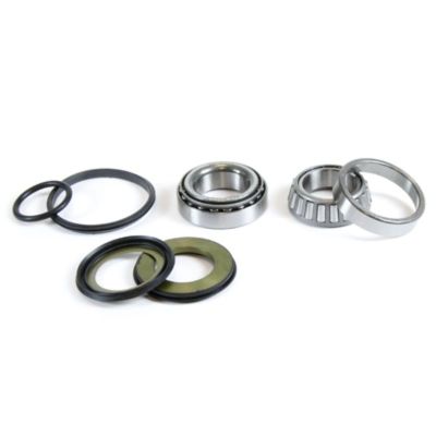 BEARINGS