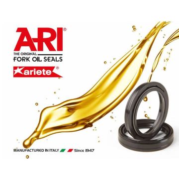 Fork seals without dust rubbers 41X54X11