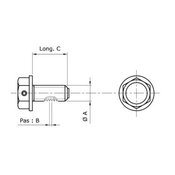 Винт для смазки картера (магнитный) M14x1,25x13,5