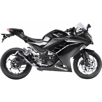 LV-10 Slip-On Muffler CARBON Kawasaki NINJA 300 LeoVince